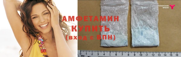 гидра Гусь-Хрустальный