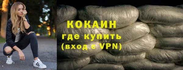 дживик Семилуки