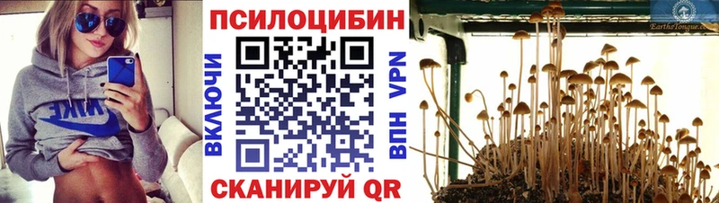наркошоп  omg ссылка  Галлюциногенные грибы прущие грибы  Дальнереченск 