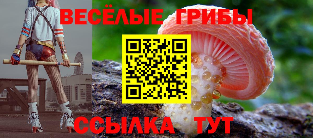 как найти закладки  Галлюциногенные грибы прущие грибы  Вход с VPN  Галлюциногенные грибы MAGIC MUSHROOMS  Дальнереченск 